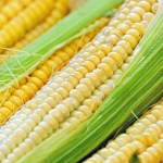 corn